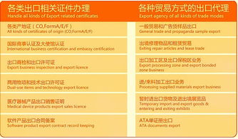 聚焦外貿(mào)服務(wù)一體化 專業(yè)代理報(bào)關(guān)與商貿(mào)對接新路徑